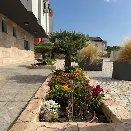 Dream House بيت ضيافة