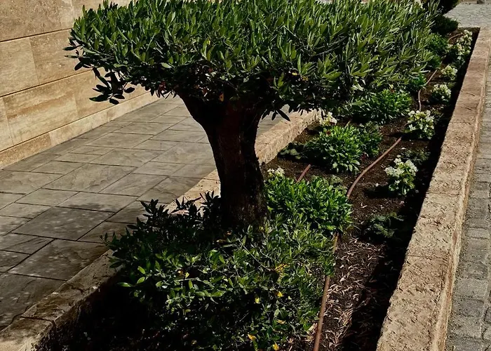 Dream House Pensjonat Sozopol