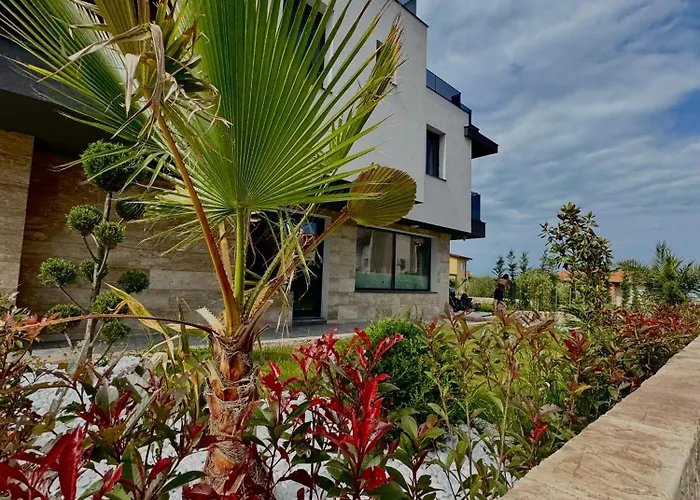 Dream House 4*