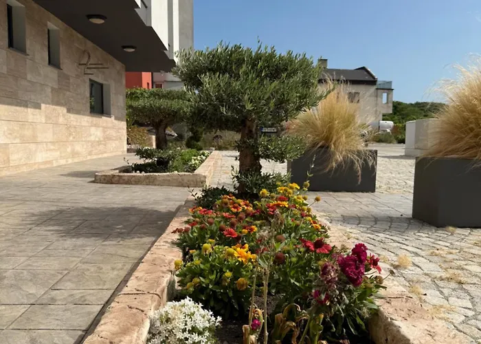 Dream House Guest house